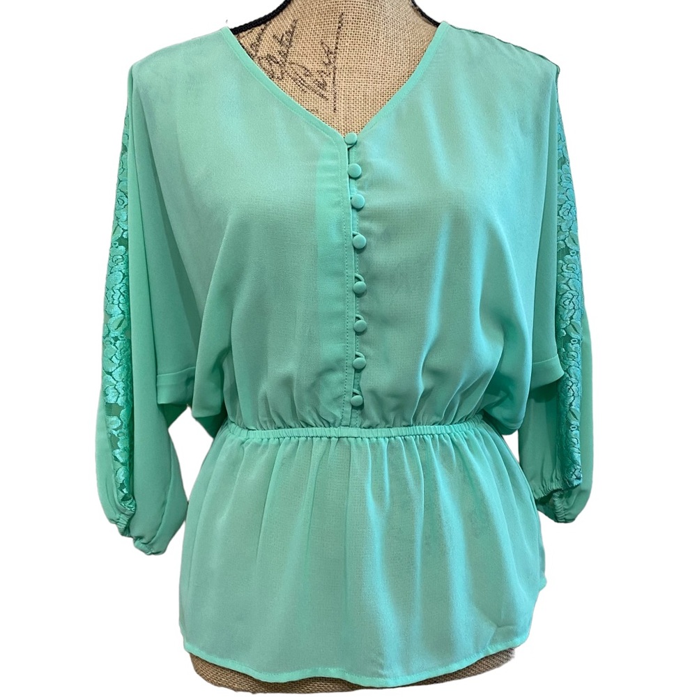 Mint Green Sheer Long Sleeve Blouse w/ Rose Lace- size S - Picture 1 of 12